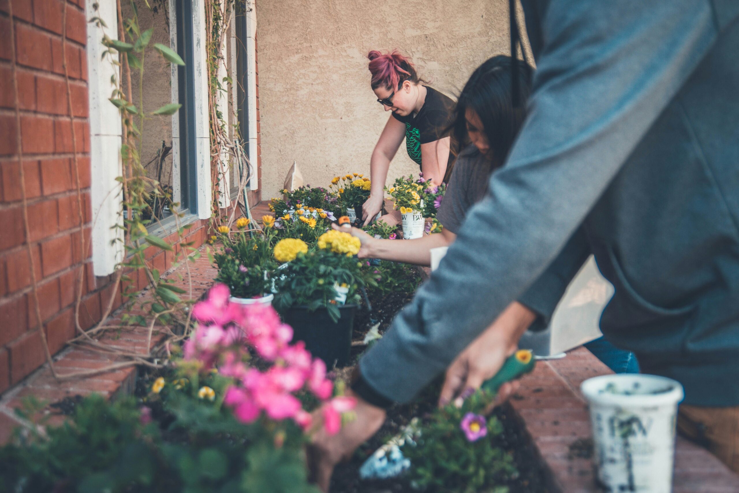 Plant and Garden Communities